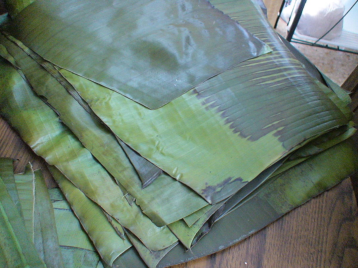 Pasteles banana leafs