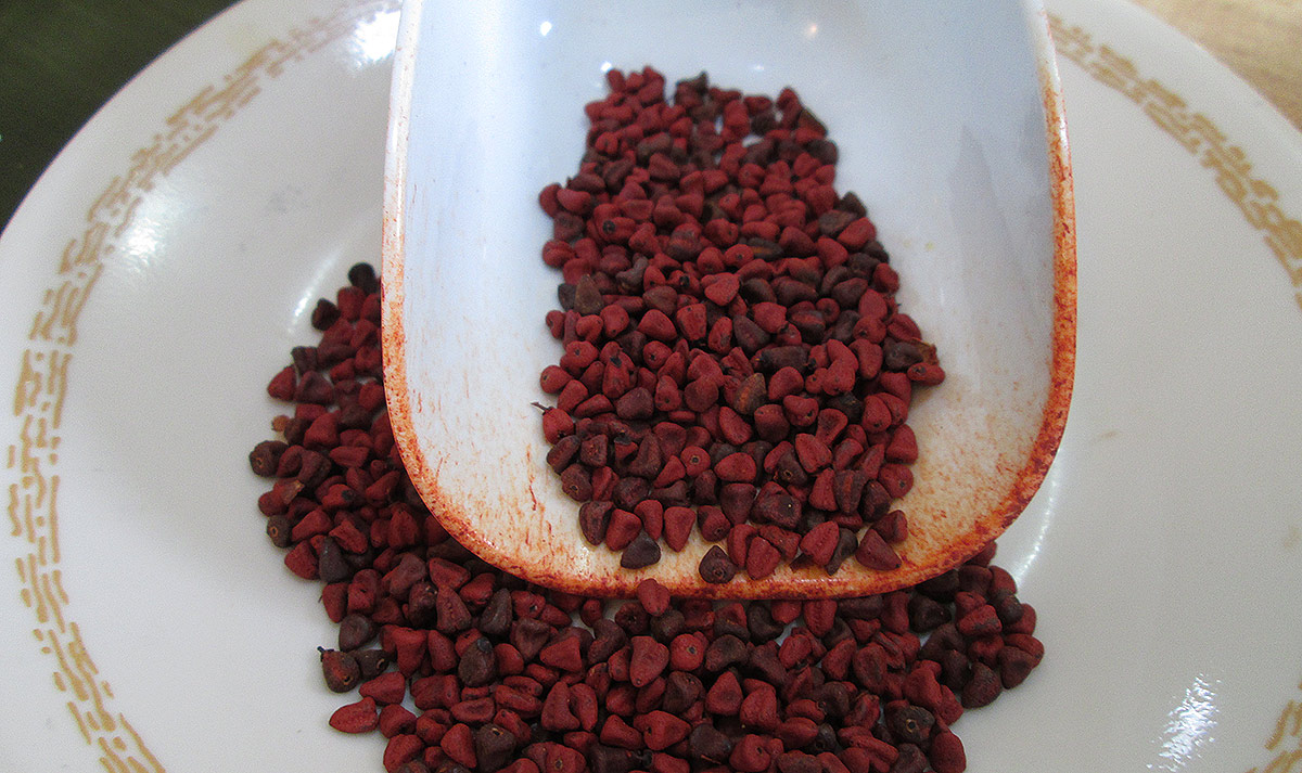Annatto beans on a plate